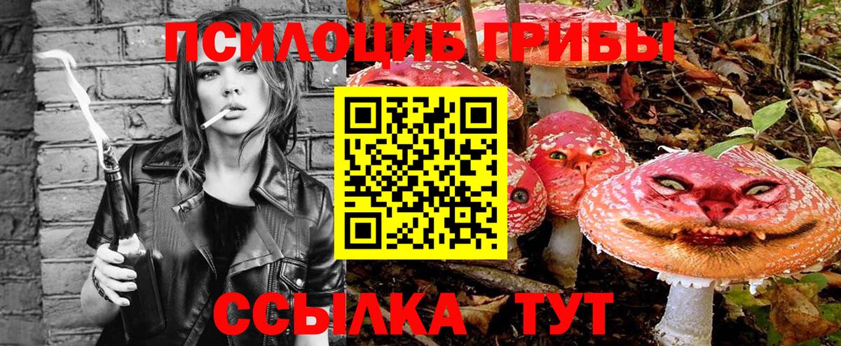 Апшеронск  Псилоцибиновые грибы Magic Shrooms  Вход с VPN 