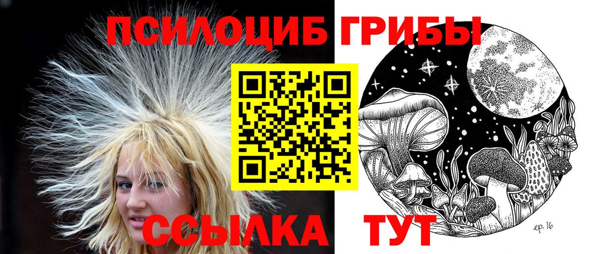 Галлюциногенные грибы Psilocybine cubensis Апшеронск